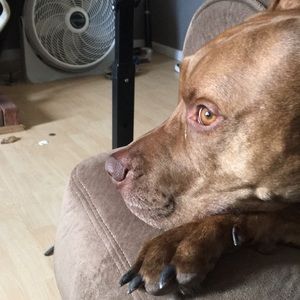 Meet your Posher, Matthew